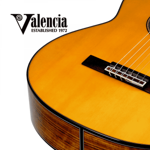 Guitare Electro-Acoustique VALENCIA VC564CE